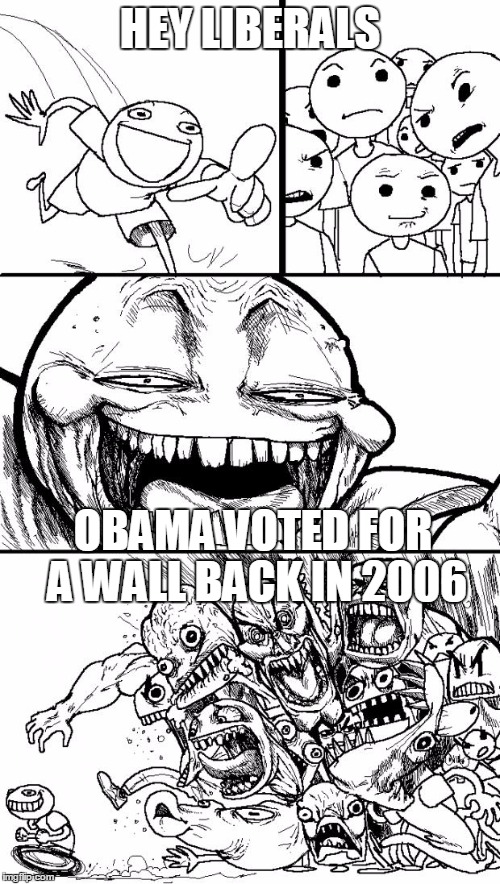 Hey Internet | HEY LIBERALS; OBAMA VOTED FOR A WALL BACK IN 2006 | image tagged in memes,hey internet | made w/ Imgflip meme maker