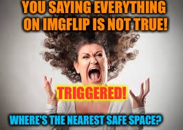 YOU SAYING EVERYTHING ON IMGFLIP IS NOT TRUE! TRIGGERED! WHERE'S THE NEAREST SAFE SPACE? | made w/ Imgflip meme maker