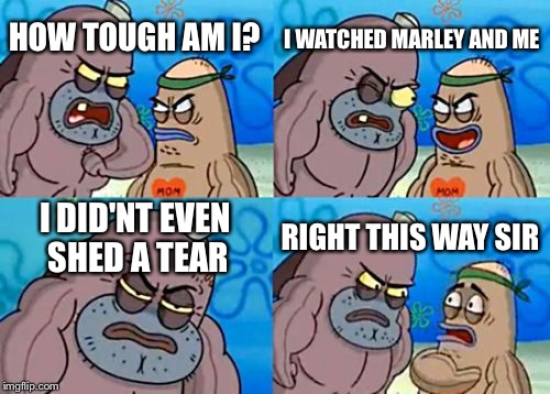 How Tough Are You Meme | I WATCHED MARLEY AND ME; HOW TOUGH AM I? I DID'NT EVEN SHED A TEAR; RIGHT THIS WAY SIR | image tagged in memes,how tough are you | made w/ Imgflip meme maker