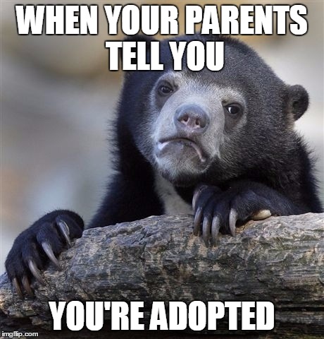 Confession Bear Meme | WHEN YOUR PARENTS TELL YOU; YOU'RE ADOPTED | image tagged in memes,confession bear | made w/ Imgflip meme maker