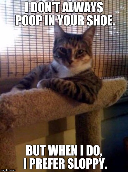 They're always doing it... | I DON'T ALWAYS POOP IN YOUR SHOE. BUT WHEN I DO, I PREFER SLOPPY. | image tagged in memes,the most interesting cat in the world,cats,cat | made w/ Imgflip meme maker