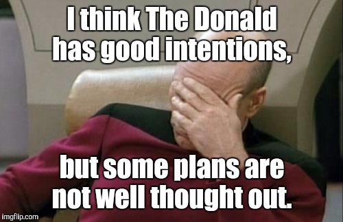 Captain Picard Facepalm Meme | I think The Donald has good intentions, but some plans are not well thought out. | image tagged in memes,captain picard facepalm | made w/ Imgflip meme maker