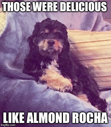 THOSE WERE DELICIOUS LIKE ALMOND ROCHA | made w/ Imgflip meme maker