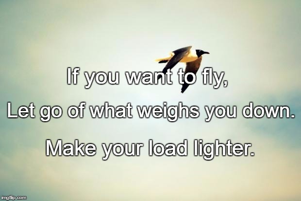 Birds | If you want to fly, Let go of what weighs you down. Make your load lighter. | image tagged in birds | made w/ Imgflip meme maker