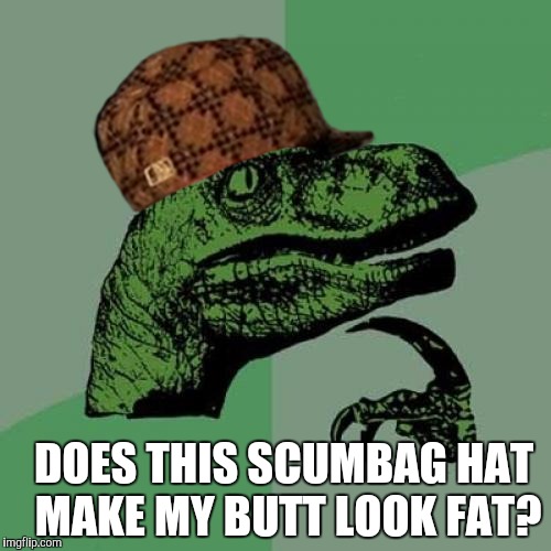 If the Philosoraptor were a woman  | DOES THIS SCUMBAG HAT MAKE MY BUTT LOOK FAT? | image tagged in memes,philosoraptor,scumbag,fat | made w/ Imgflip meme maker