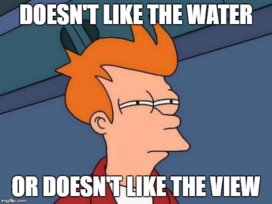 Futurama Fry Meme | DOESN'T LIKE THE WATER OR DOESN'T LIKE THE VIEW | image tagged in memes,futurama fry | made w/ Imgflip meme maker