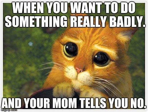 Shrek Cat Meme | WHEN YOU WANT TO DO SOMETHING REALLY BADLY. AND YOUR MOM TELLS YOU NO. | image tagged in memes,shrek cat | made w/ Imgflip meme maker