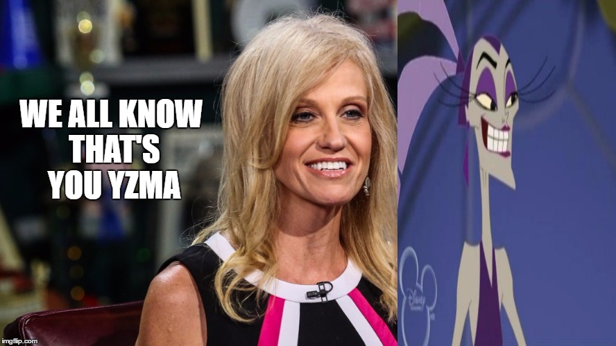 Yzma why you hide | WE ALL KNOW THAT'S YOU YZMA | image tagged in kellyann conway | made w/ Imgflip meme maker