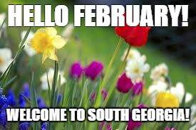 flowers | HELLO FEBRUARY! WELCOME TO SOUTH GEORGIA! | image tagged in flowers | made w/ Imgflip meme maker