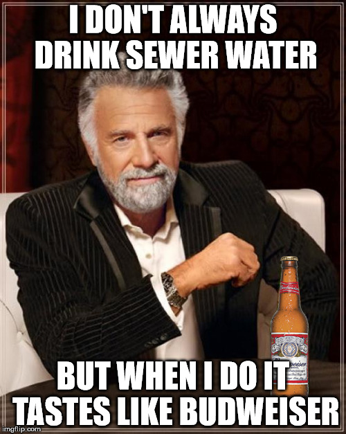 Budweiser | I DON'T ALWAYS DRINK SEWER WATER; BUT WHEN I DO IT TASTES LIKE BUDWEISER | image tagged in budweiser | made w/ Imgflip meme maker