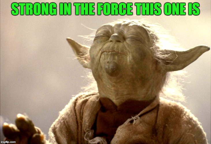 Yoda Is Very Pleased | STRONG IN THE FORCE THIS ONE IS | image tagged in yoda is very pleased | made w/ Imgflip meme maker