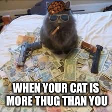 Thugcat | WHEN YOUR CAT IS MORE THUG THAN YOU | image tagged in thugcat,scumbag | made w/ Imgflip meme maker