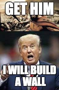 GET HIM; I WILL BUILD A WALL | image tagged in funny meme | made w/ Imgflip meme maker