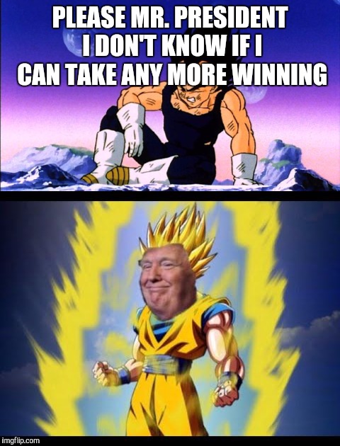 Super potus!!! | PLEASE MR. PRESIDENT I DON'T KNOW IF I CAN TAKE ANY MORE WINNING | image tagged in memes,funny memes,president trump,political memes,donald trump just keeps winning | made w/ Imgflip meme maker