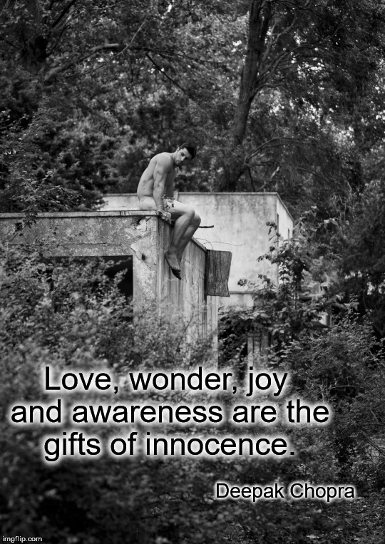 Love, wonder, joy and awareness are the gifts of innocence. Deepak Chopra | image tagged in nature | made w/ Imgflip meme maker