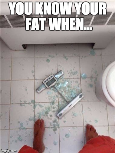 Fat people & scales  | YOU KNOW YOUR FAT WHEN... | image tagged in fat people  scales,memes,funny | made w/ Imgflip meme maker