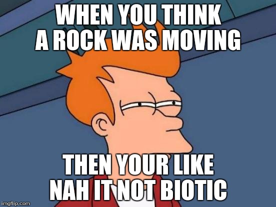 Futurama Fry | WHEN YOU THINK A ROCK WAS MOVING; THEN YOUR LIKE NAH IT NOT BIOTIC | image tagged in memes,futurama fry | made w/ Imgflip meme maker