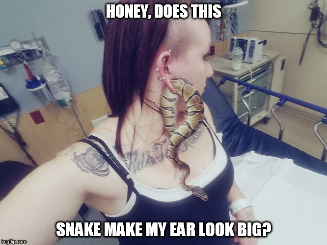 Snake in ear ball python | HONEY, DOES THIS; SNAKE MAKE MY EAR LOOK BIG? | image tagged in snake in ear ball python | made w/ Imgflip meme maker