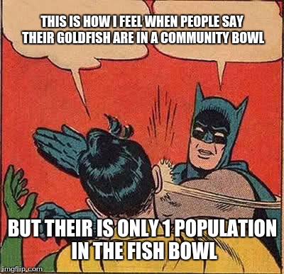 Batman Slapping Robin | THIS IS HOW I FEEL WHEN PEOPLE SAY THEIR GOLDFISH ARE IN A COMMUNITY BOWL; BUT THEIR IS ONLY 1 POPULATION IN THE FISH BOWL | image tagged in memes,batman slapping robin | made w/ Imgflip meme maker