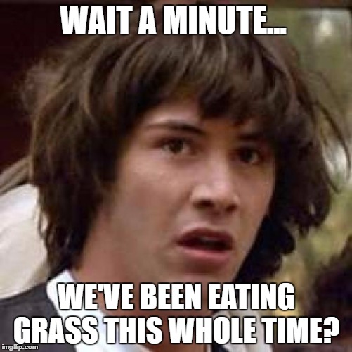 Conspiracy Keanu Meme | WAIT A MINUTE... WE'VE BEEN EATING GRASS THIS WHOLE TIME? | image tagged in memes,conspiracy keanu | made w/ Imgflip meme maker