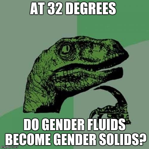 Philosoraptor Meme | AT 32 DEGREES; DO GENDER FLUIDS BECOME GENDER SOLIDS? | image tagged in memes,philosoraptor | made w/ Imgflip meme maker
