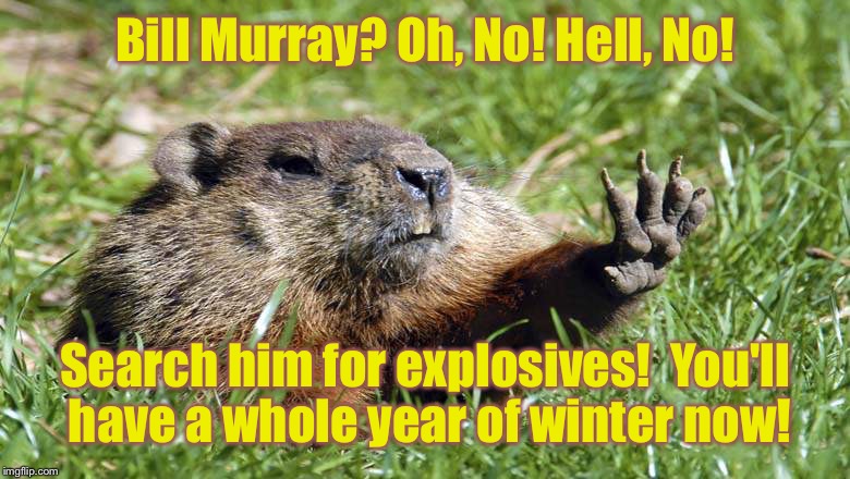 Happy Groundhog's Day!  All year long! | Bill
Murray? Oh, No! Hell, No! Search him for explosives!  You'll have a whole year of winter now! | image tagged in memes,groundhog day,bill murray,year of winter,explosives,feb 2 | made w/ Imgflip meme maker