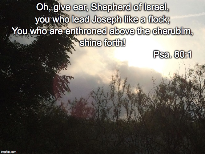 Oh, give ear, Shepherd of Israel, you who lead Joseph like a flock;; You who are enthroned above the cherubim, shine forth! Psa. 80:1 | image tagged in shine forth | made w/ Imgflip meme maker