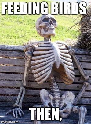 Waiting Skeleton Meme | FEEDING BIRDS; THEN, | image tagged in memes,waiting skeleton | made w/ Imgflip meme maker