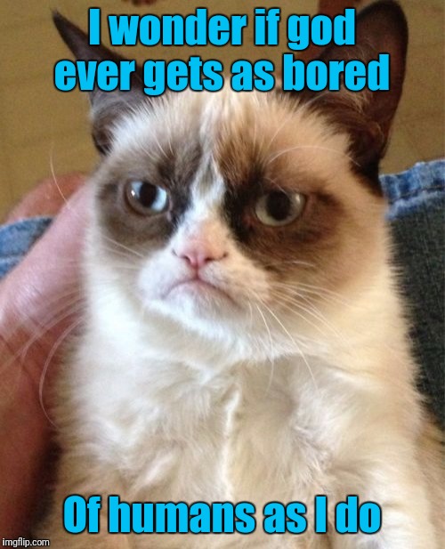 Grumpy Cat | I wonder if god ever gets as bored; Of humans as I do | image tagged in memes,grumpy cat | made w/ Imgflip meme maker