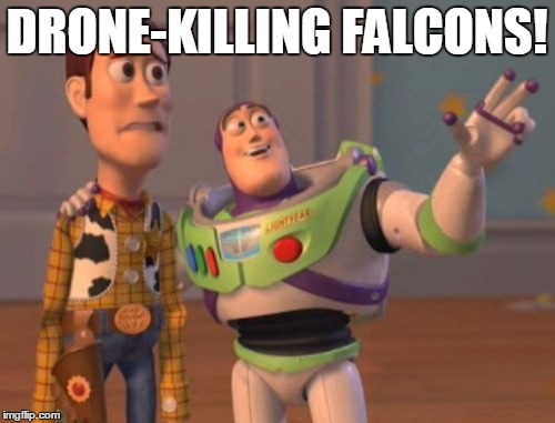 X, X Everywhere Meme | DRONE-KILLING FALCONS! | image tagged in memes,x x everywhere | made w/ Imgflip meme maker