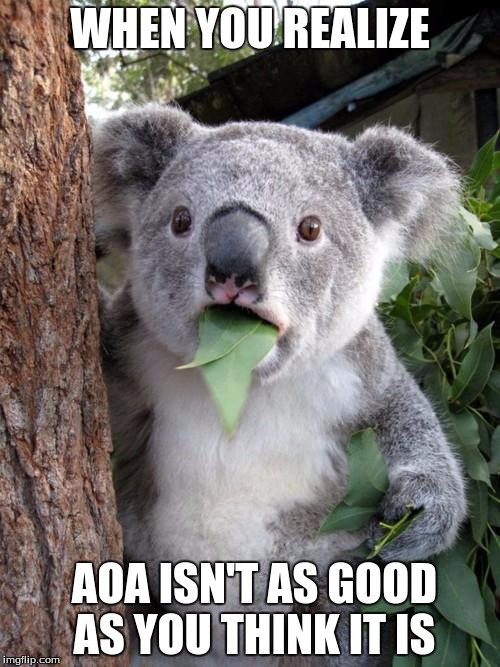 Surprised Koala Meme | WHEN YOU REALIZE; AOA ISN'T AS GOOD AS YOU THINK IT IS | image tagged in memes,surprised koala | made w/ Imgflip meme maker