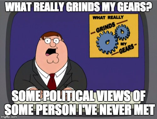 See this guy... Thats how you sound | WHAT REALLY GRINDS MY GEARS? SOME POLITICAL VIEWS OF SOME PERSON I'VE NEVER MET | image tagged in memes,peter griffin news,politics,political,political meme | made w/ Imgflip meme maker