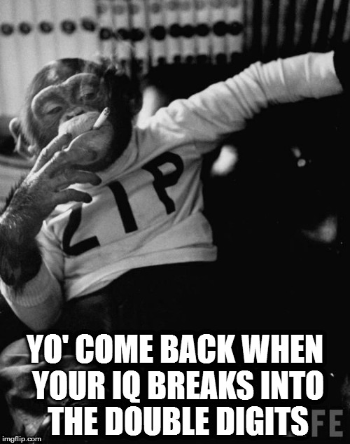 chimpy | YO' COME BACK WHEN YOUR IQ BREAKS INTO THE DOUBLE DIGITS | image tagged in chimpy | made w/ Imgflip meme maker