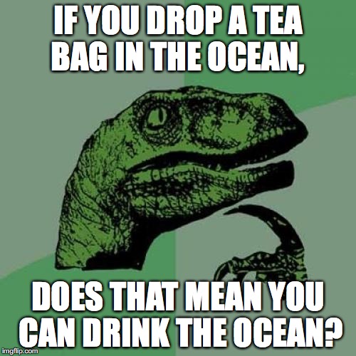 Philosoraptor | IF YOU DROP A TEA BAG IN THE OCEAN, DOES THAT MEAN YOU CAN DRINK THE OCEAN? | image tagged in memes,philosoraptor | made w/ Imgflip meme maker