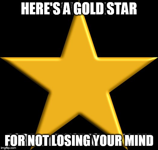 HERE'S A GOLD STAR; FOR NOT LOSING YOUR MIND | image tagged in meme | made w/ Imgflip meme maker