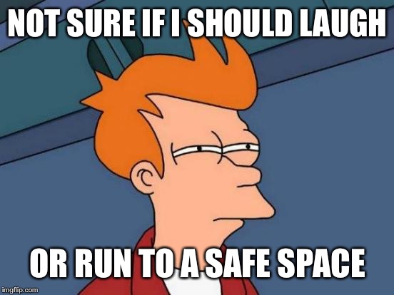 Futurama Fry Meme | NOT SURE IF I SHOULD LAUGH OR RUN TO A SAFE SPACE | image tagged in memes,futurama fry | made w/ Imgflip meme maker