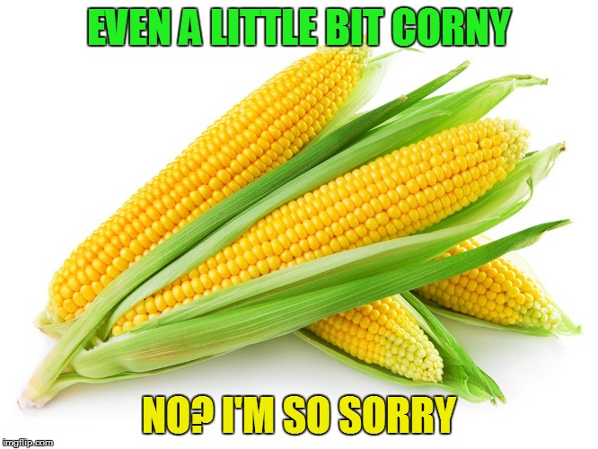 EVEN A LITTLE BIT CORNY NO? I'M SO SORRY | made w/ Imgflip meme maker