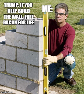 Trump Wall | TRUMP: IF YOU HELP BUILD THE WALL, FREE BACON FOR LIFE; ME: | image tagged in trump wall | made w/ Imgflip meme maker
