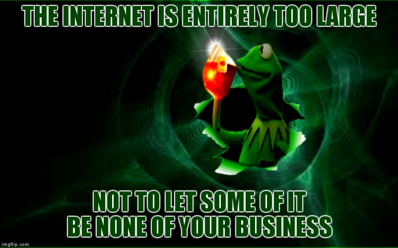 Kermit busts out the memeverse | THE INTERNET IS ENTIRELY TOO LARGE; NOT TO LET SOME OF IT BE NONE OF YOUR BUSINESS | image tagged in memestrocity,kermit busts out | made w/ Imgflip meme maker