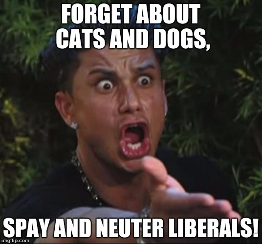 DJ Pauly D | FORGET ABOUT CATS AND DOGS, SPAY AND NEUTER LIBERALS! | image tagged in memes,dj pauly d,get it | made w/ Imgflip meme maker