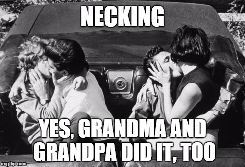 NECKING; YES, GRANDMA AND GRANDPA DID IT, TOO | image tagged in necking,making out,1950's | made w/ Imgflip meme maker