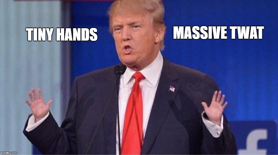 Tiny Hands Massive Twat | MASSIVE TWAT; TINY HANDS | image tagged in trump meme,massive twat,tiny hands,lol | made w/ Imgflip meme maker