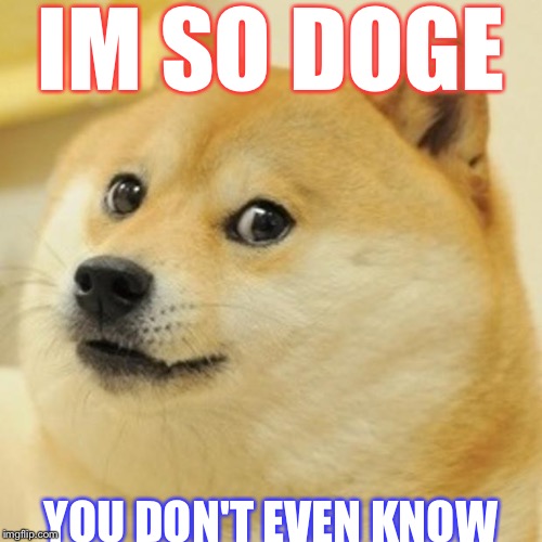 I'm So Doge | IM SO DOGE; YOU DON'T EVEN KNOW | image tagged in memes,doge | made w/ Imgflip meme maker