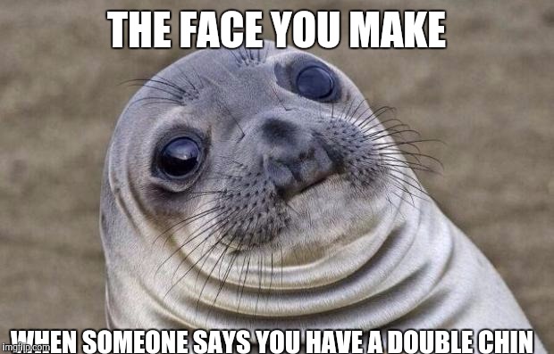 Awkward Moment Sealion | THE FACE YOU MAKE; WHEN SOMEONE SAYS YOU HAVE A DOUBLE CHIN | image tagged in memes,awkward moment sealion | made w/ Imgflip meme maker