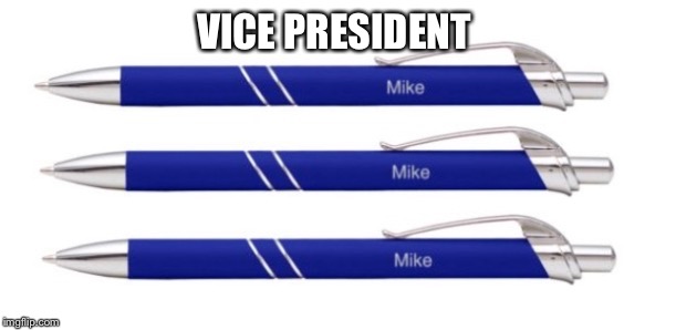 Mike Pens |  VICE PRESIDENT | image tagged in puns,bad pun,mike pence | made w/ Imgflip meme maker