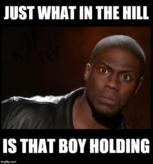 JUST WHAT IN THE HILL IS THAT BOY HOLDING | made w/ Imgflip meme maker