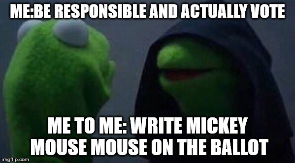 Kermit Me to Me | ME:BE RESPONSIBLE AND ACTUALLY VOTE; ME TO ME: WRITE MICKEY MOUSE MOUSE ON THE BALLOT | image tagged in kermit me to me | made w/ Imgflip meme maker