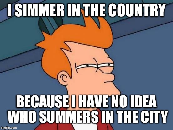Futurama Fry | I SIMMER IN THE COUNTRY; BECAUSE I HAVE NO IDEA WHO SUMMERS IN THE CITY | image tagged in memes,futurama fry | made w/ Imgflip meme maker