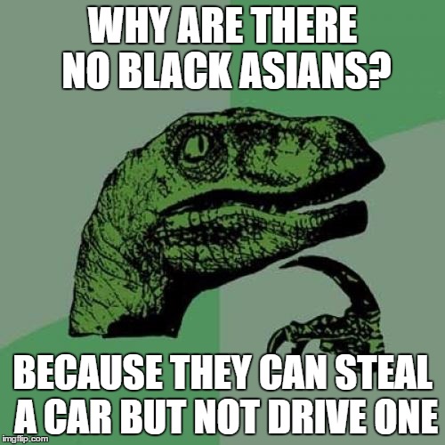 Philosoraptor Meme | WHY ARE THERE NO BLACK ASIANS? BECAUSE THEY CAN STEAL A CAR BUT NOT DRIVE ONE | image tagged in memes,philosoraptor | made w/ Imgflip meme maker