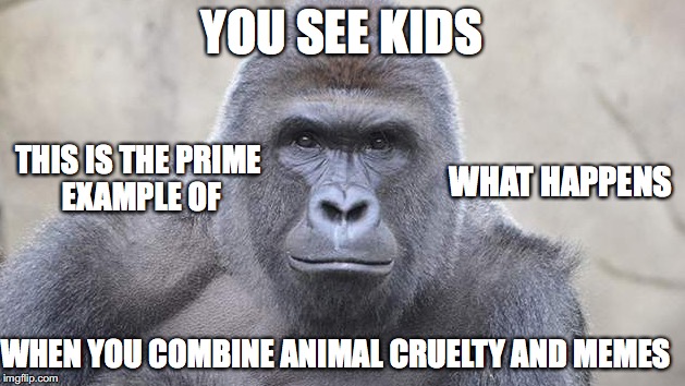 HERAMBE | YOU SEE KIDS; THIS IS THE PRIME EXAMPLE OF; WHAT HAPPENS; WHEN YOU COMBINE ANIMAL CRUELTY AND MEMES | image tagged in herambe | made w/ Imgflip meme maker